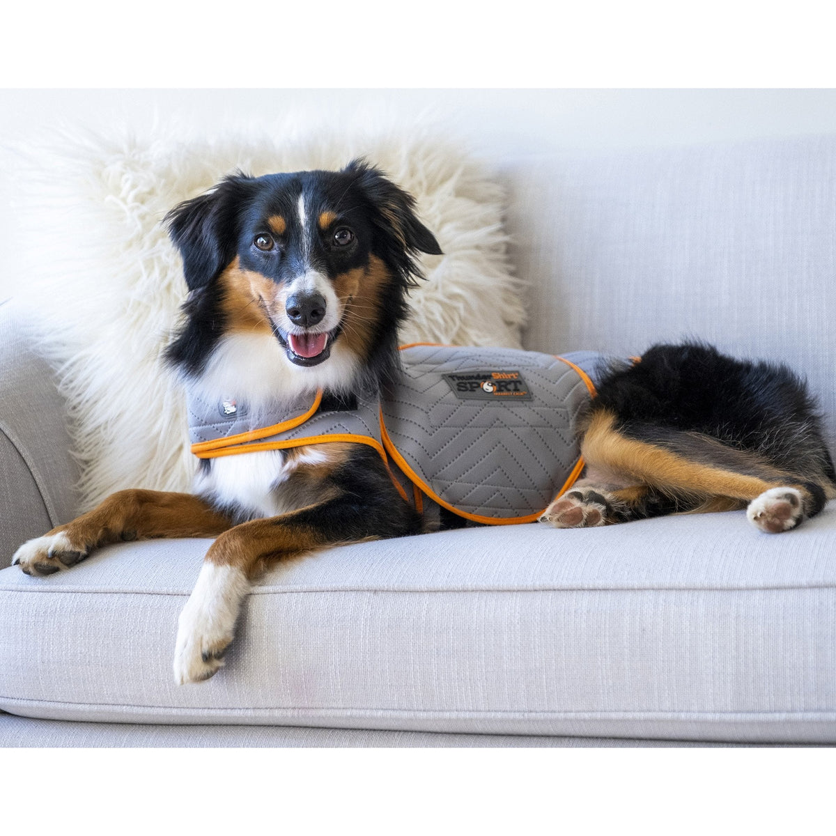 Dog Jacket Thundershirt Dog Australia Thundershirt Anti-Anxiety