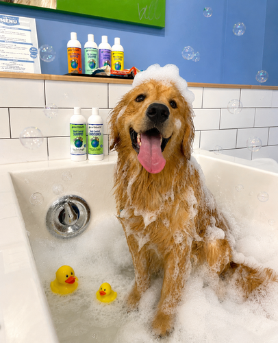 Splash Pass for Unlimited Self Wash