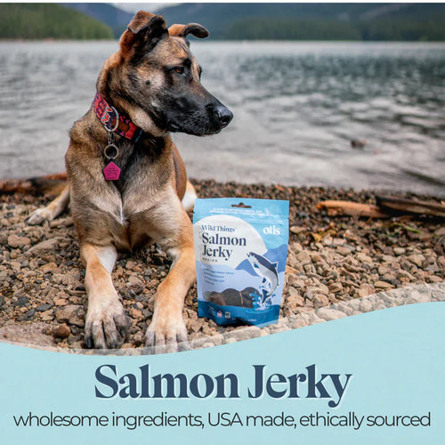 Otis Wild Things Salmon Recipe Jerky For Dogs (4 oz)