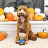 PetShop On My Last Straw Plush Dog Toy (11.5