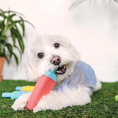 GF Pet Ice Toy Popsicle Ice Cream Asst