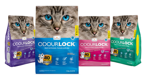 Intersand Odourlock Ultra premium multi-cat litter formula