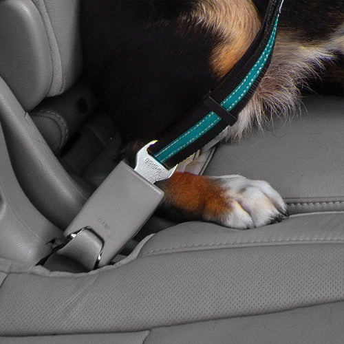 Kurgo Direct to Seatbelt Swivel Tether (Blue)