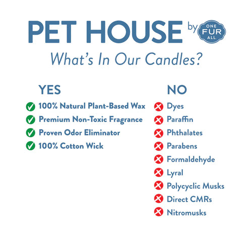 Pet House Mango Peach Mini Candle