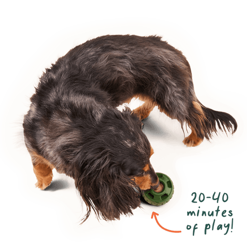 Woof Calming Vitamin Pops Dog Treats