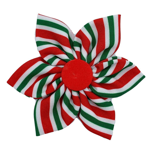 Huxley & Kent Pinwheel Peppermint Stripe