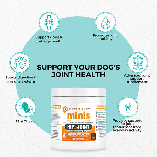 Nootie Progility Minis Hip & Joint Soft Chew Supplement For Small & Medium Size Dogs (60 Count)
