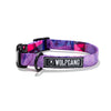 WOLFGANG MAN & BEAST DayDream DOG COLLAR (Small (Width 5/8-in. Length 8-12-in.))