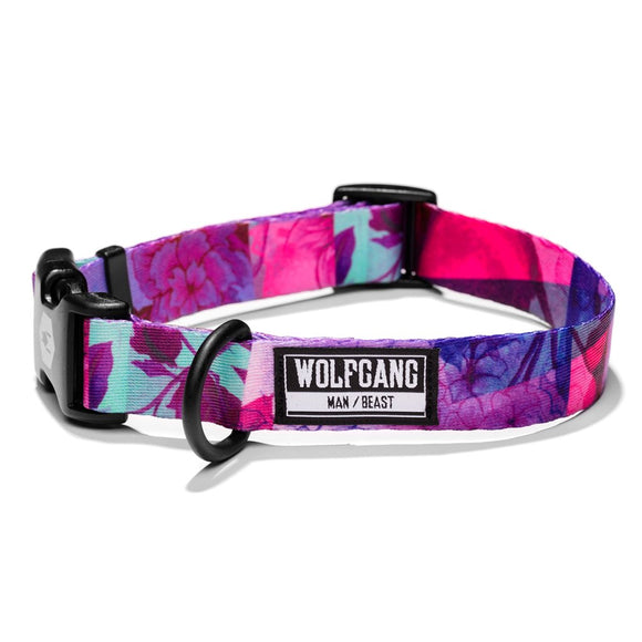 Wolfgang Man & Beast DayDream DOG COLLAR (Medium (Width 1-in. Length 12-18-in.))