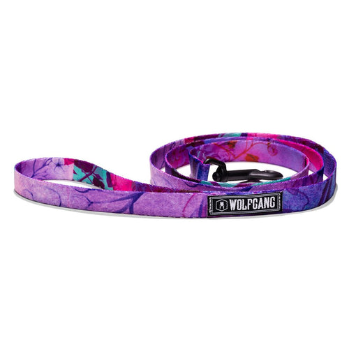 WOLFGANG MAN & BEAST DayDream DOG COLLAR (Small (Width 5/8-in. Length 8-12-in.))