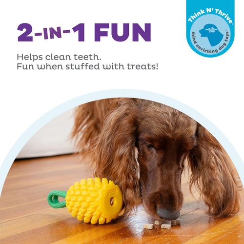 Outward Hound Dental Pineapple Dental Chew Toy and Interactive Treat Stuffer for Dogs (Yellow)