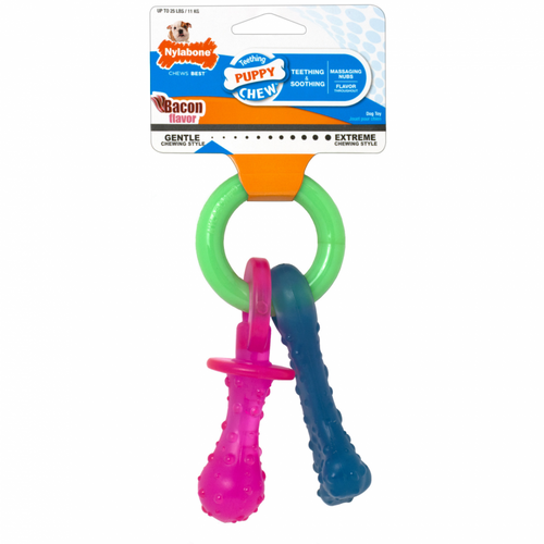 Nylabone Puppy Chew Teething Pacifier Dog Toy Tampa, FL Health