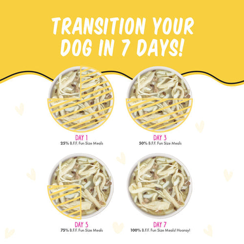 Weruva BFF Fun Size Meals  Roll The Dice with Chicken Breast & Rice Dog Wet  Food