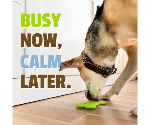 Pet Naturals BusyButter Calming Supplement for Dogs