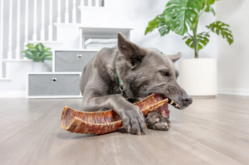 Natural Cravings USA Bison Trachea