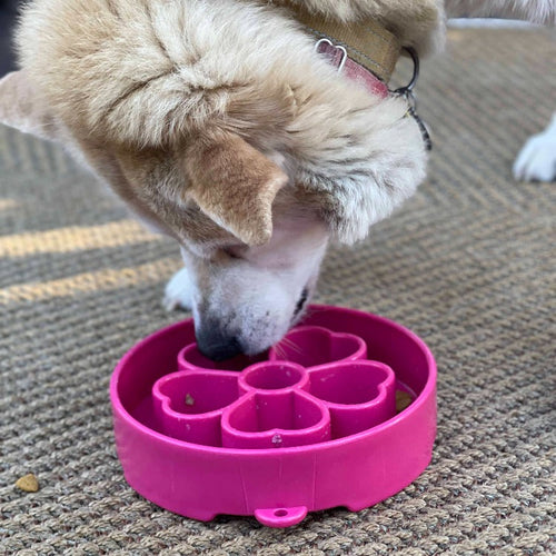 SodaPup Flower Design eBowl Enrichment Slow Feeder Bowl for Dogs