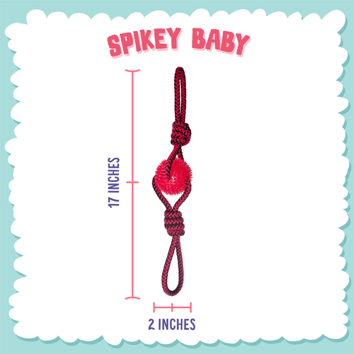 Snugarooz Spikey Baby Dog Toy