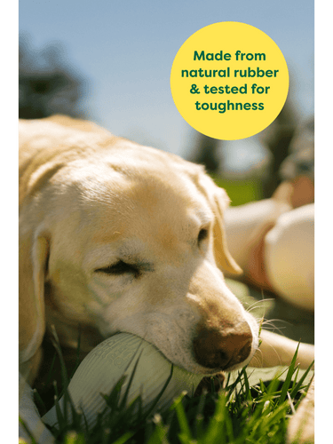 Earth Rated Rubber Dog Treat Toy