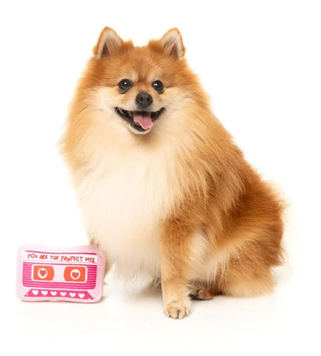 FuzzYard Pawfect Mix Tape Dog Toy