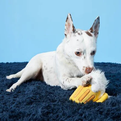 Bark Hair of the Dog Toy