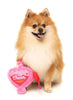 FuzzYard Tail Chaser Perfume Dog Toy
