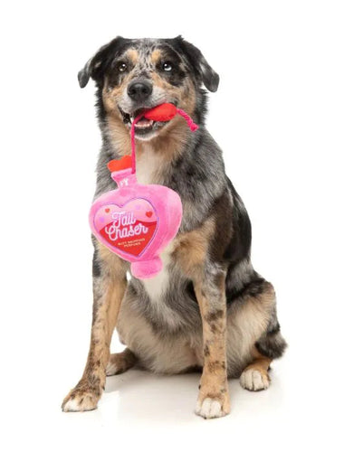 FuzzYard Tail Chaser Perfume Dog Toy