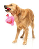 FuzzYard Tail Chaser Perfume Dog Toy