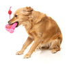 FuzzYard Tail Chaser Perfume Dog Toy
