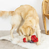 Petshop You're Dynamite Rope Dog Toy