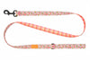 RC Pet Eco Leash for Dogs
