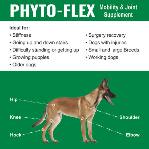 Nature's Farmacy Dogzymes Phyto-Flex®