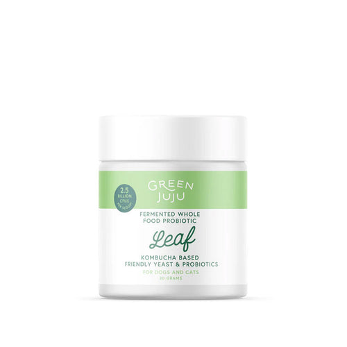 Green Juju Leaf Fermented Kombucha-Based Probiotic