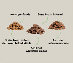 Epic Blend Salmon & Superfood Grain-Free Dog Kibble