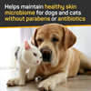 Silver Honey Skin & Coat Care Nourish & Soothe Shampoo with Odor Neutralizer