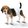 Four Paws Wee-Wee® Disposable Dog Diapers