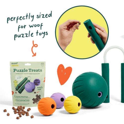 Woof Puzzle Treats Dog Toy