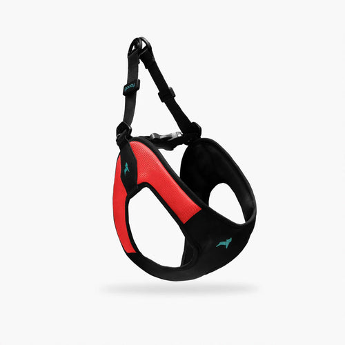 Gooby Escape Free Easy Fit Harness