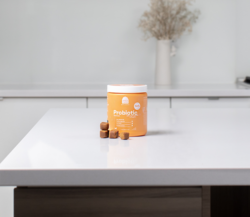 Open Farm Probiotic Food Supplement Chews for Dogs