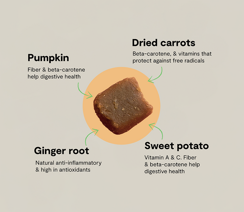 Open Farm Probiotic Food Supplement Chews for Dogs