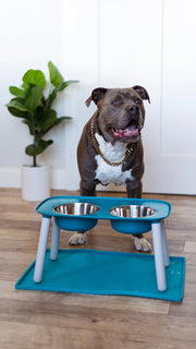 Messy Mutts Elevated Double Dog Feeder Adjustable Height