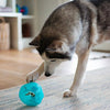 Messy Mutts Totally Pooched Stuff'n Wobble Ball, 5, Teal
