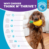 Outward Hound Dental Pineapple Dental Chew Toy and Interactive Treat Stuffer for Dogs (Yellow)