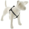 Eco Dog Harness &6-Ft.  Leash, Granite, 3/4 x 15 to 21-In.