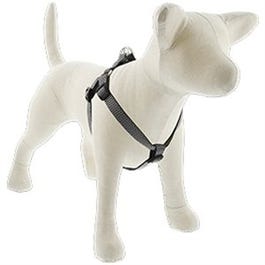 Eco Step-In Dog Harness, Non-Restrictive, Granite, 3/4 x 20 to 30-In.