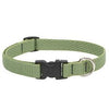 Eco Dog Collar, Adjustable, Moss, 3/4 x 9 to 14-In.
