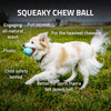 Playology Squeaky Chew Ball Dog Toy (Beef Scent, Medium/Large)