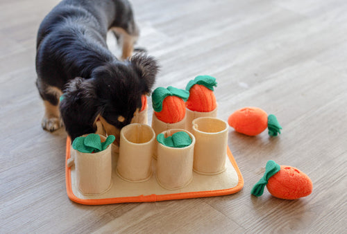 Injoya Carrot Patch Snuffle Toy