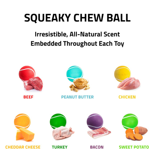 Playology Squeaky Chew Ball Dog Toy (Beef Scent, Medium/Large)