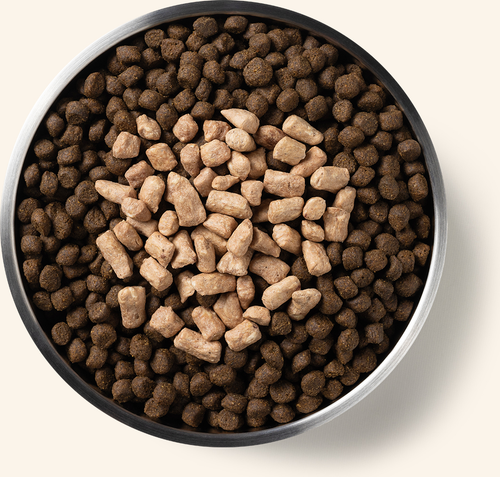 Vital Essentials Freeze Dried Raw Protein Mix-In Turkey Recipe Mini Nibs Topper for Dogs