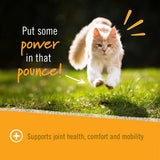 Pet Naturals Hip & Joint Chews For Cats